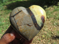 Polished Septerye Hearts x 6 From Madagascar - TopRock