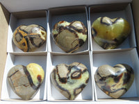 Polished Septerye Hearts x 6 From Madagascar - TopRock