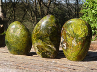 Polished Green Opal Standing Free Forms  x 6 From Madagascar - Toprock Gemstones and Minerals 