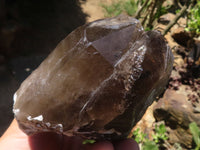 Natural Smokey Morion Quartz Crystals  x 2 From Melanje, Malawi - TopRock