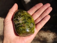 Polished Green Opal Standing Free Forms  x 6 From Madagascar - Toprock Gemstones and Minerals 