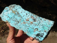 Natural Drusy Coated Chrysocolla Dolomite Specimen x 1 From Congo