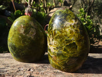 Polished Green Opal Standing Free Forms  x 6 From Madagascar - Toprock Gemstones and Minerals 