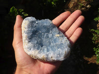 Natural Blue Celestite Geode Specimens  x 2 From Sakoany, Madagascar - Toprock Gemstones and Minerals 