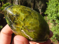 Polished Green Opal Standing Free Forms  x 6 From Madagascar - Toprock Gemstones and Minerals 