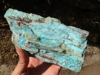 Natural Drusy Coated Chrysocolla Dolomite Specimen x 1 From Congo