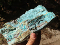 Natural Drusy Coated Chrysocolla Dolomite Specimen x 1 From Congo