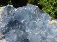 Natural Blue Celestite Geode Specimens  x 2 From Sakoany, Madagascar - Toprock Gemstones and Minerals 