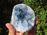 Natural Blue Celestite Geode Specimens  x 2 From Sakoany, Madagascar - Toprock Gemstones and Minerals 