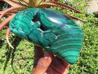 Polished Malachite Free Form x 1 From Congo - TopRock