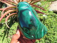 Polished Malachite Free Form x 1 From Congo - TopRock