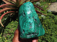 Polished Malachite Free Form x 1 From Congo - TopRock