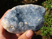 Natural Blue Celestite Geode Specimens  x 2 From Sakoany, Madagascar - Toprock Gemstones and Minerals 