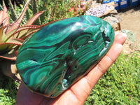 Polished Malachite Free Form x 1 From Congo - TopRock