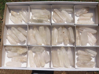 Natural Single Clear Quartz Crystals  x 46 From Madagascar - TopRock