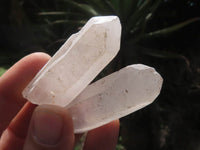 Natural Single Clear Quartz Crystals  x 46 From Madagascar - TopRock