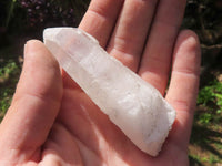 Natural Single Clear Quartz Crystals  x 46 From Madagascar - TopRock