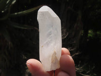 Natural Single Clear Quartz Crystals  x 46 From Madagascar - TopRock