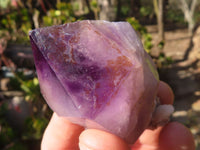 Natural Large Skeletal Amethyst Crystals  x 6 From Chiredzi, Zimbabwe