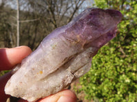 Natural Large Skeletal Amethyst Crystals  x 6 From Chiredzi, Zimbabwe