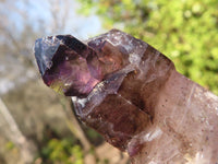 Natural Large Skeletal Amethyst Crystals  x 6 From Chiredzi, Zimbabwe