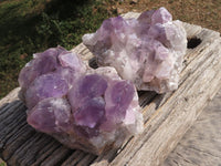 Natural Jacaranda Amethyst Quartz Clusters  x 2 From Mumbwe, Zambia - TopRock