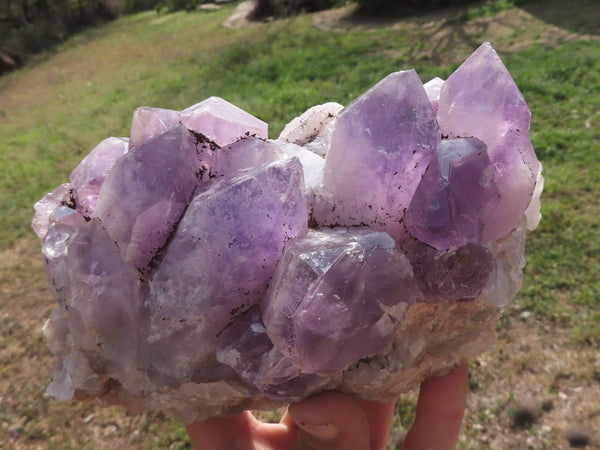 Natural Jacaranda Amethyst Quartz Clusters  x 2 From Mumbwe, Zambia - TopRock