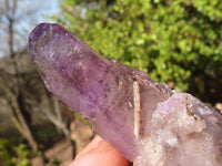 Natural Large Skeletal Amethyst Crystals  x 6 From Chiredzi, Zimbabwe