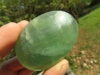 Polished Gemmy Emerald Fluorite Palm Stones  x 24 From Madagascar - TopRock