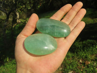 Polished Gemmy Emerald Fluorite Palm Stones  x 24 From Madagascar - TopRock