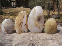 Polished Gorgeous Dendritic Agate Standing Free Forms  x 4 From Moralambo, Madagascar - TopRock