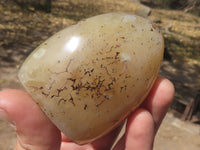 Polished Gorgeous Dendritic Agate Standing Free Forms  x 4 From Moralambo, Madagascar - TopRock