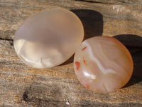 Polished Mini Ocean  Flower Agate Palm Stones  x 70 From Madagascar