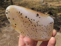 Polished Gorgeous Dendritic Agate Standing Free Forms  x 4 From Moralambo, Madagascar - TopRock