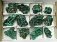 Natural Chatoyant Silky Malachite Specimens  x 12 From Kasompe, Congo - TopRock