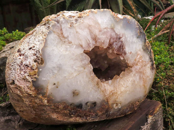 Pieza de exhibición de geoda de ágata XXXL Killer pulida x 1 de Madagascar