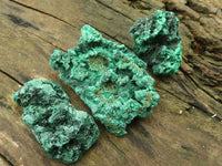 Natural Chatoyant Silky Malachite Specimens  x 12 From Kasompe, Congo - TopRock