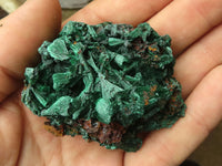 Natural Chatoyant Silky Malachite Specimens  x 12 From Kasompe, Congo - TopRock