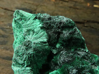 Natural Chatoyant Silky Malachite Specimens  x 12 From Kasompe, Congo - TopRock