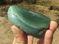 Polished XX Rare Green Emerald Chrysoprase Free Forms   x 6 From Zimbabwe - TopRock