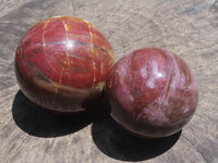 Polished Petrified Red Podocarpus Wood Spheres  x 2 From Madagascar - TopRock