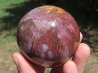 Polished Petrified Red Podocarpus Wood Spheres  x 2 From Madagascar - TopRock