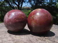 Polished Petrified Red Podocarpus Wood Spheres  x 2 From Madagascar - TopRock