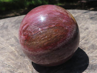 Polished Petrified Red Podocarpus Wood Spheres  x 2 From Madagascar - TopRock