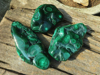 Polished Malachite Free Forms With Stunning Flower & Banding Patterns x 3 From Congo - TopRock