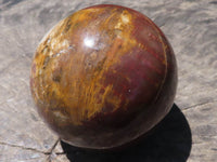 Polished Petrified Red Podocarpus Wood Spheres  x 2 From Madagascar - TopRock