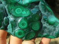 Polished Malachite Free Forms With Stunning Flower & Banding Patterns x 3 From Congo - TopRock