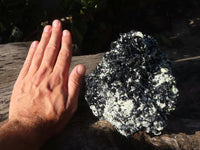 Natural Extra Large Schorl Black Tourmaline Specimen With Vermiculite  x 1 From Erongo, Namibia - Toprock Gemstones and Minerals 