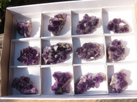 Natural Dark Amethyst Crystal Clusters x 12 From Zambia