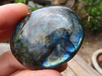 Polished Mini Labradorite Palm Stones  x 20 From Tulear, Madagascar - Toprock Gemstones and Minerals 